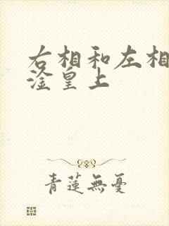 右相和左相一起淦皇上
