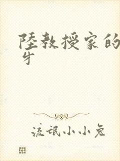 陆教授家的小月牙