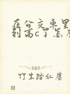 在公交车里c弄到高c了怎么办封面