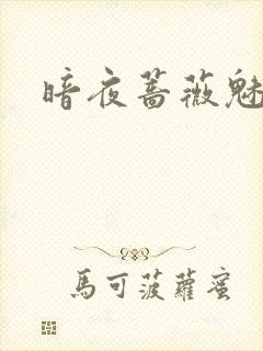 暗夜蔷薇魅