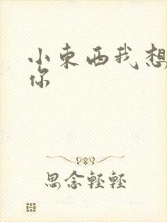 小东西我想弄坏你