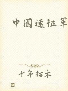 中国远征军小说