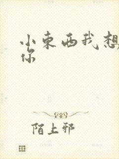 小东西我想弄坏你封面