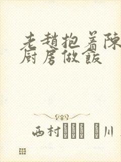 老赵抱着陈婷在厨房做饭