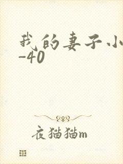 我的妻子小谨1-40