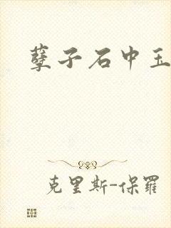 孽子石中玉