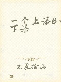 一个上添B一个下添