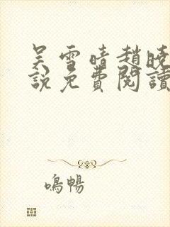 吴雪晴赵晓东小说免费阅读封面