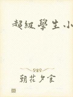 超级学生小说