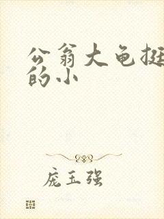 公翁大龟挺进我的小