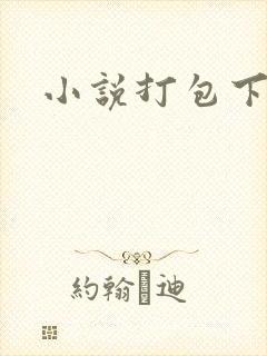 小说打包下载