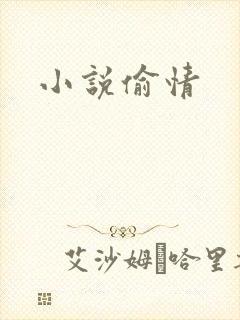 小说偷情