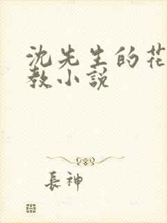 沈先生的花式管教小说