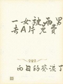 一女被两男桶进去A片免费