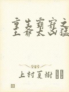 重生霸宠之摄政王爷太凶猛