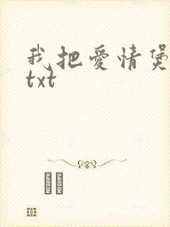 我把爱情煲成汤txt