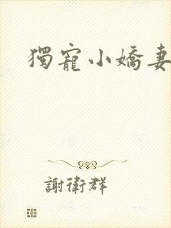 独宠小娇妻