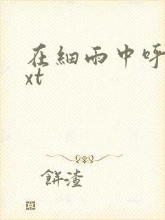 在细雨中呼喊txt