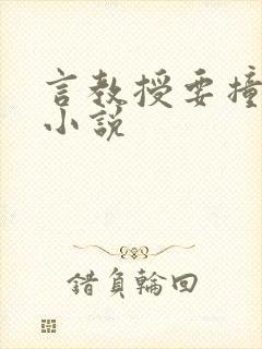 言教授要撞坏了小说