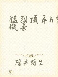 猛烈顶弄h禁欲机长