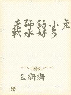 老师的小兔子好软水好多