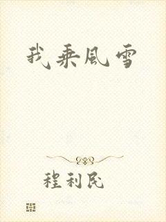 我乘风雪