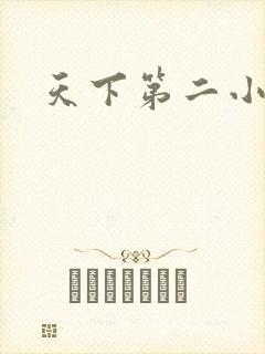 天下第二小说