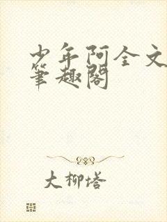 少年阿全文免费笔趣阁