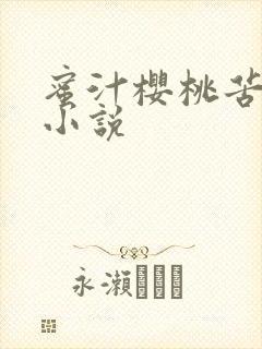 蜜汁樱桃苦咖啡小说