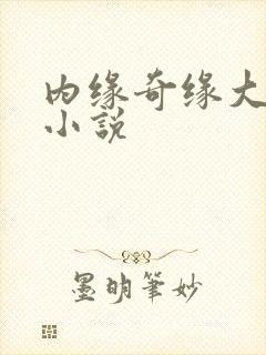 内缘奇缘大团圆小说