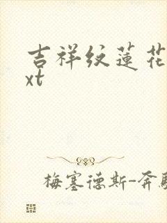 吉祥纹莲花楼txt