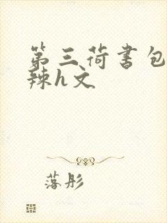 第三荷书包网高辣h文