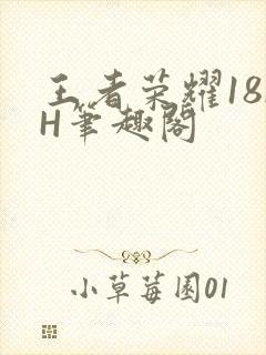 王者荣耀18rH笔趣阁