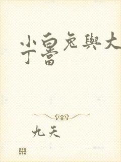 小白兔与大灰狼丁当