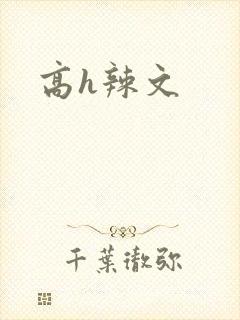 高h辣文