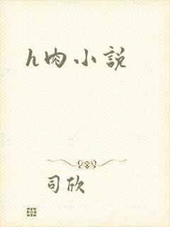 h肉小说