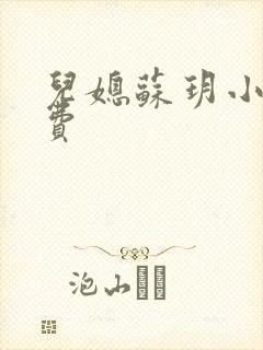 儿媳苏玥小说免费