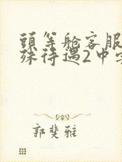 头等舱客服的特殊待遇2中字