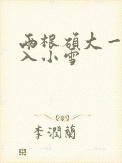 两根硕大一起挤入小雪