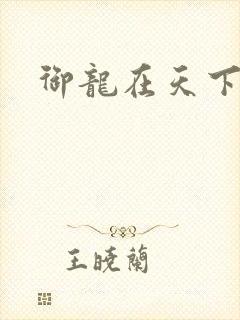 御龙在天下载