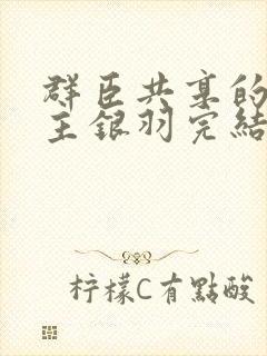 群臣共享的小公主银羽完结了吗