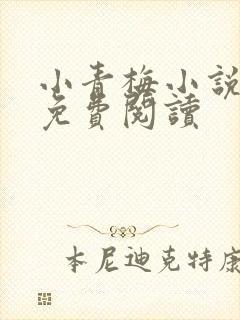小青梅小说全文免费阅读