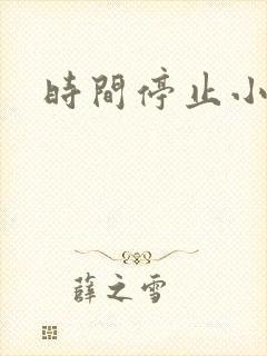 时间停止小说