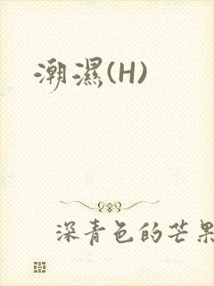 《潮湿(H)》小说封面