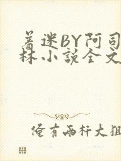 着迷BY阿司匹林小说全文免费阅读