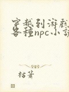 穿越到游戏里和各种npc小说