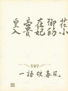 皇帝在御花园进入贵妃的小说