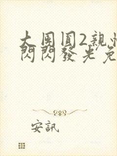 大团圆2亲情会闪闪发光免费