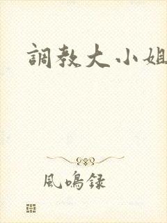 调教大小姐
