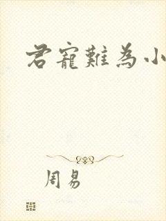 君宠难为小说封面